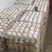 【精品】河北笨鸡蛋种蛋和商品蛋,脱温鸡,量大从优,养殖场直发