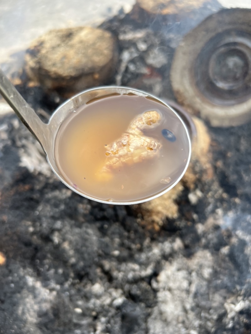 河源客家老姜艾根黑豆火灸黄酒香味浓