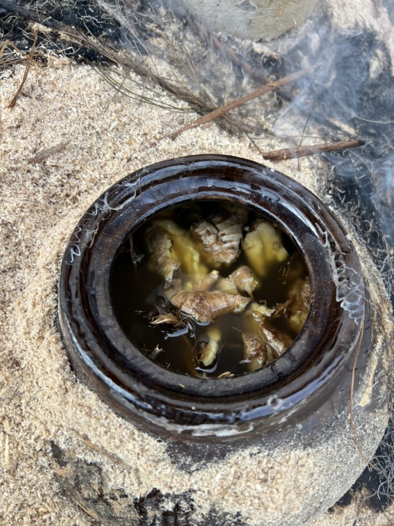 河源客家老姜艾根黑豆火灸黄酒香味浓