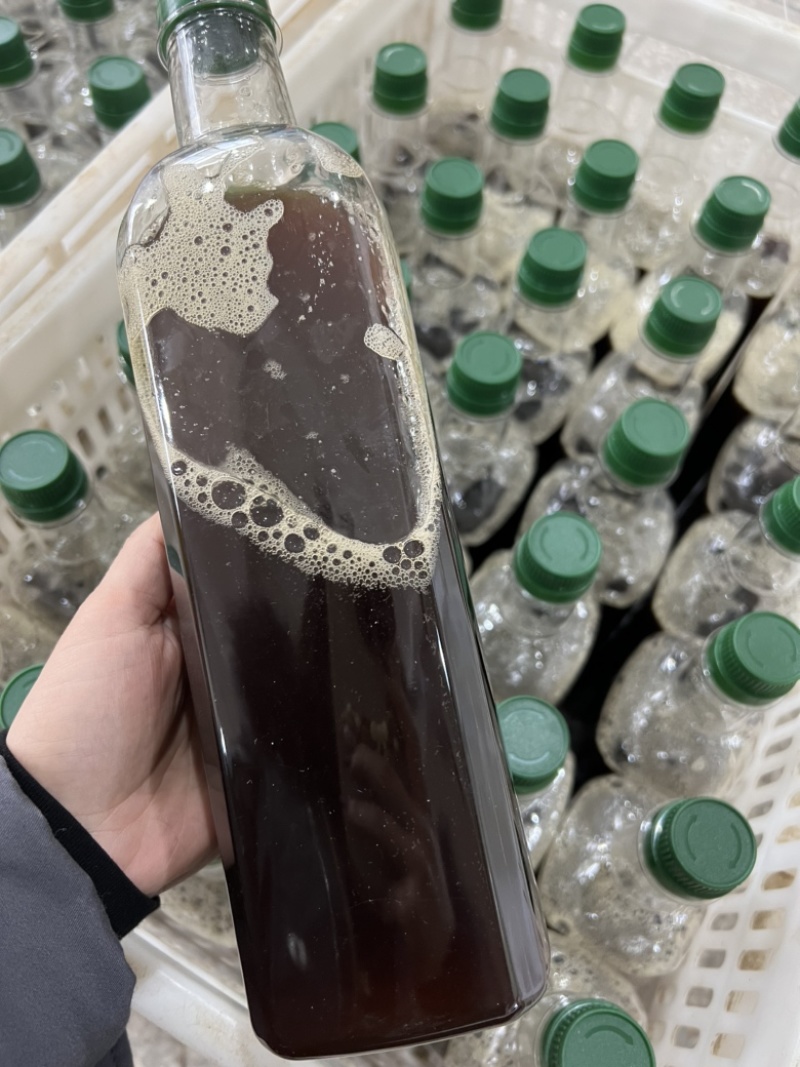河源客家老姜艾根黑豆火灸黄酒香味浓