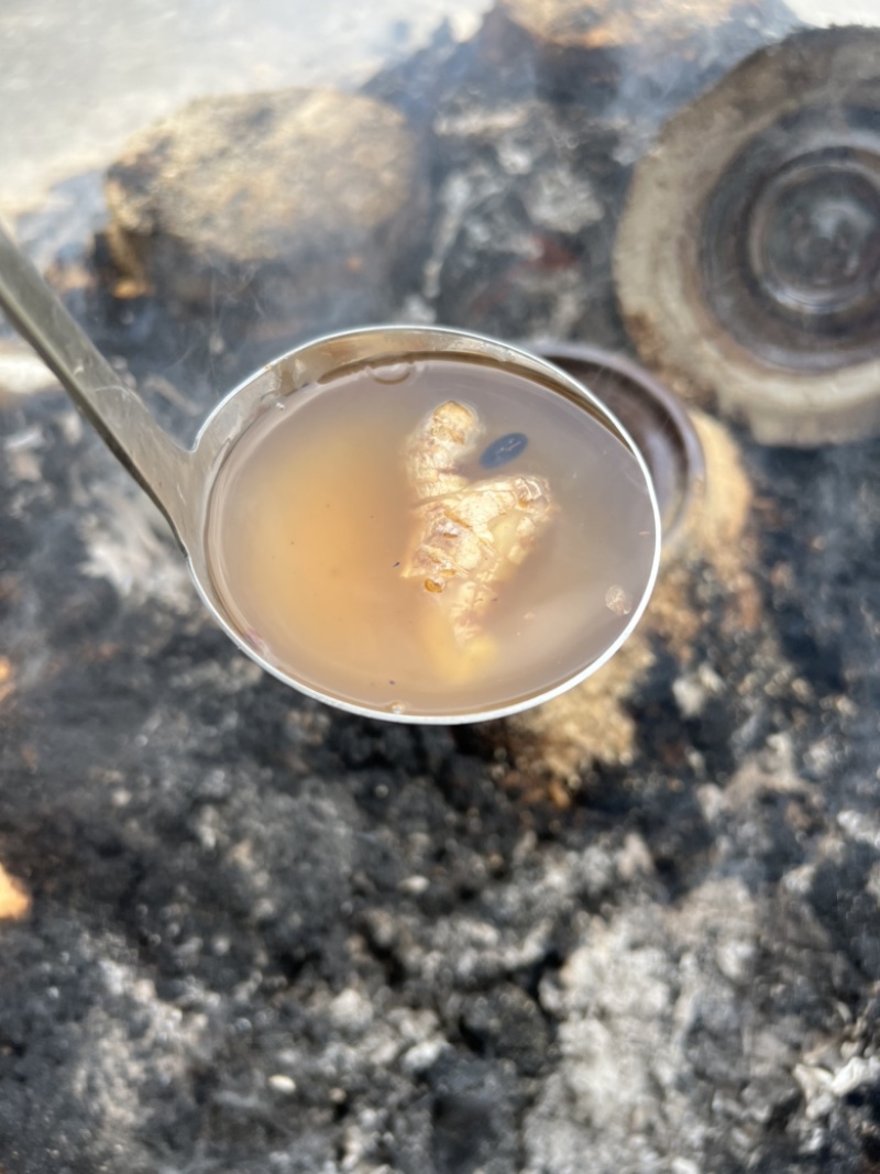 河源客家老姜艾根黑豆火灸黄酒香味浓
