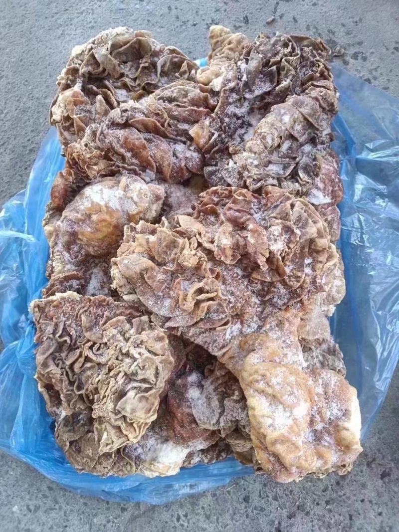 牛伞带，半成品，质量超好，适合各种菜系产品！