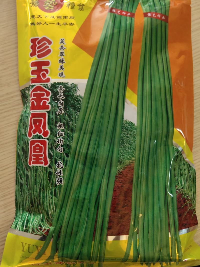 珍玉金风凰豆角种子~中熟长势旺不易鼠尾抗病耐高温高湿
