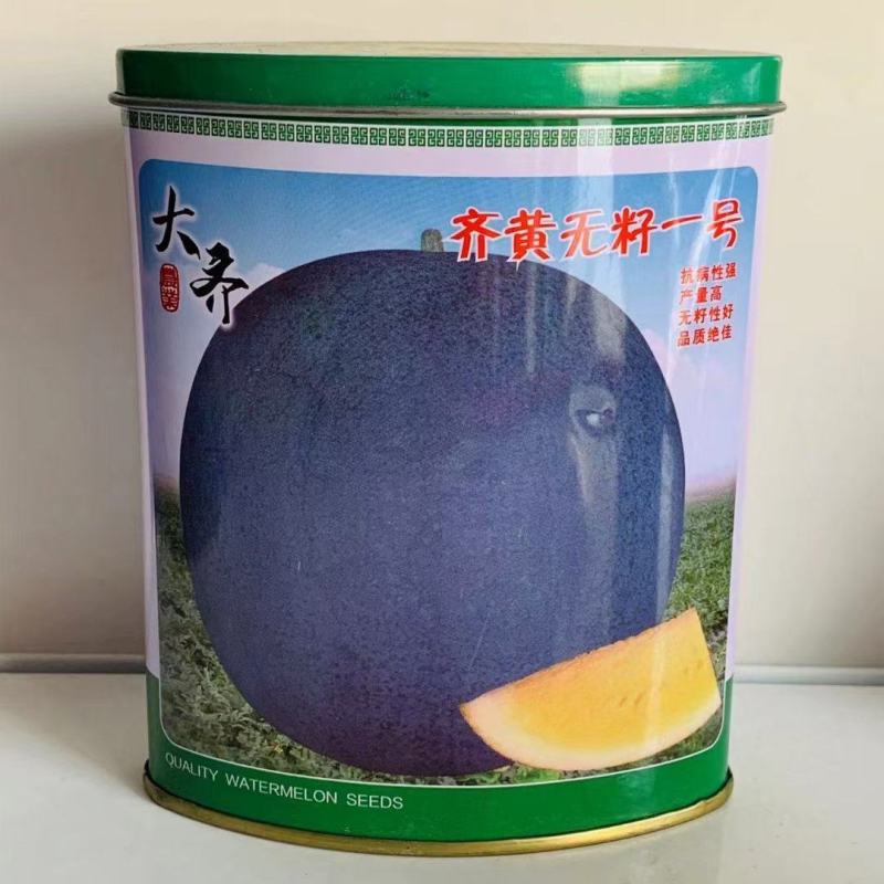 齐黄无籽一号西瓜种籽特甜黑皮黄瓤无籽西瓜种子早熟蜡粉重