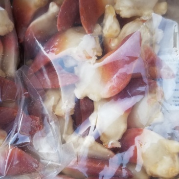 鲜活海鲜，皮皮虾，八爪鱼，对虾，贝类，生蚝，各种冻货海鲜