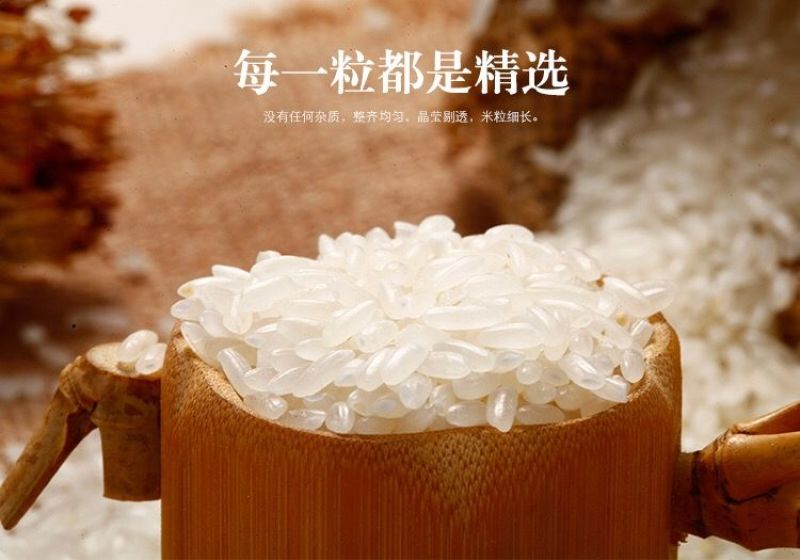 五常稻花香2号当季新米米