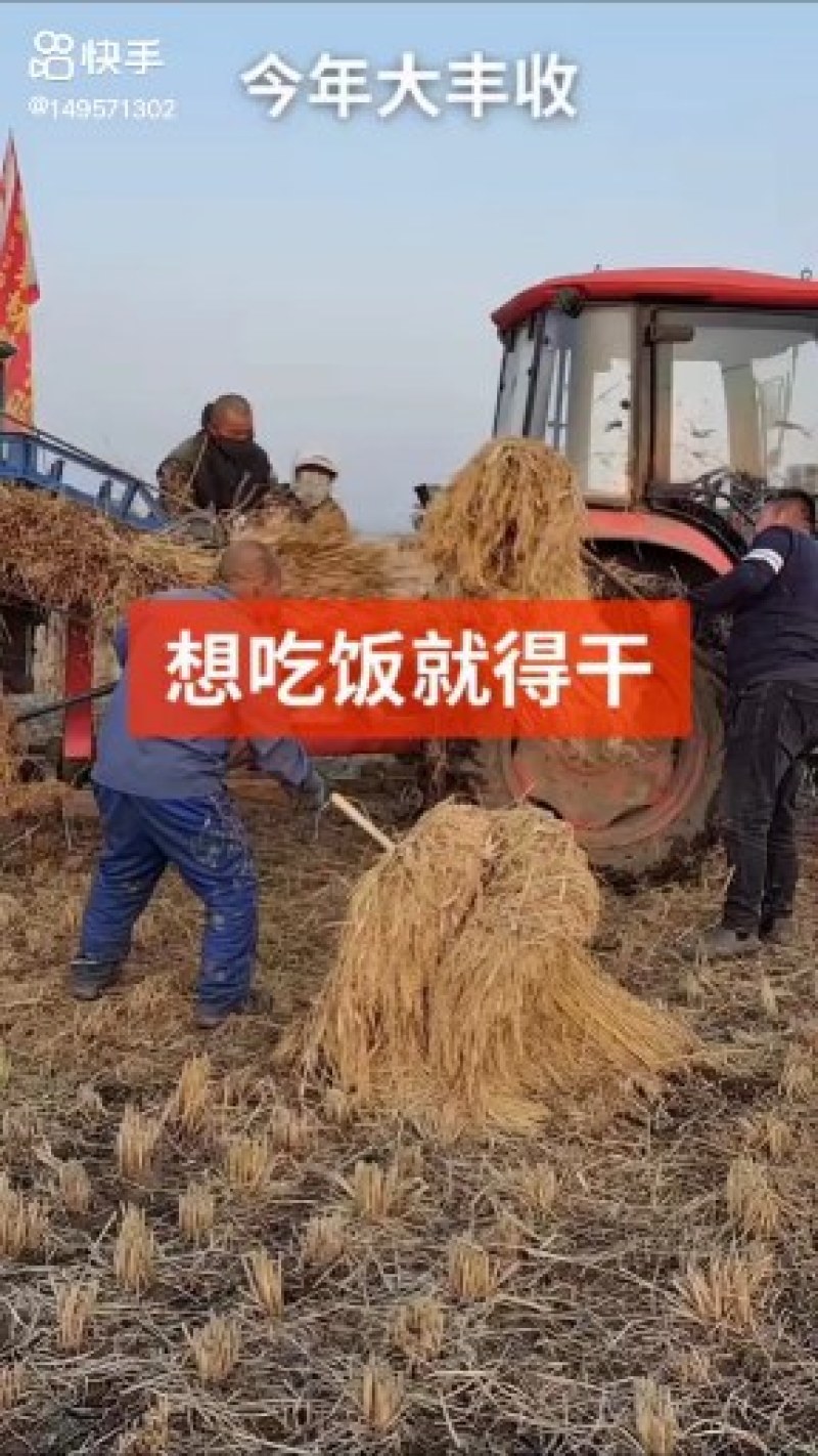五常稻花香2号当季新米米