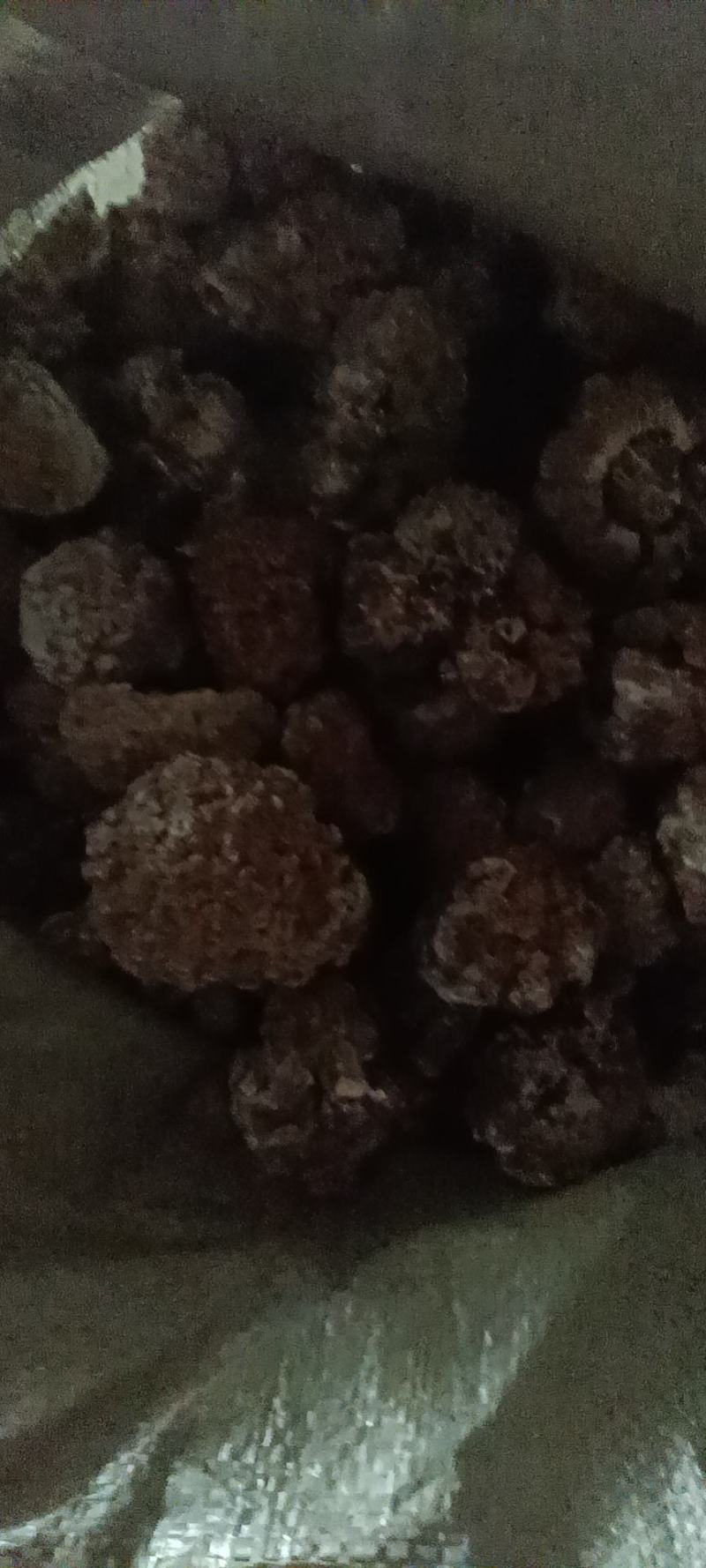 玛咖菌