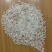 米厂大量采购21年粳稻圆粒长粒香稻花香可免费代加工贴牌
