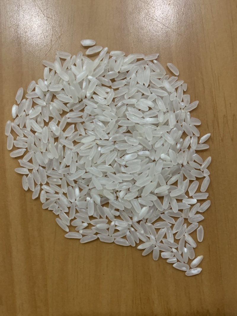 米厂大量采购21年粳稻圆粒长粒香稻花香可免费代加工贴牌