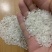 米厂大量采购21年粳稻圆粒长粒香稻花香可免费代加工贴牌