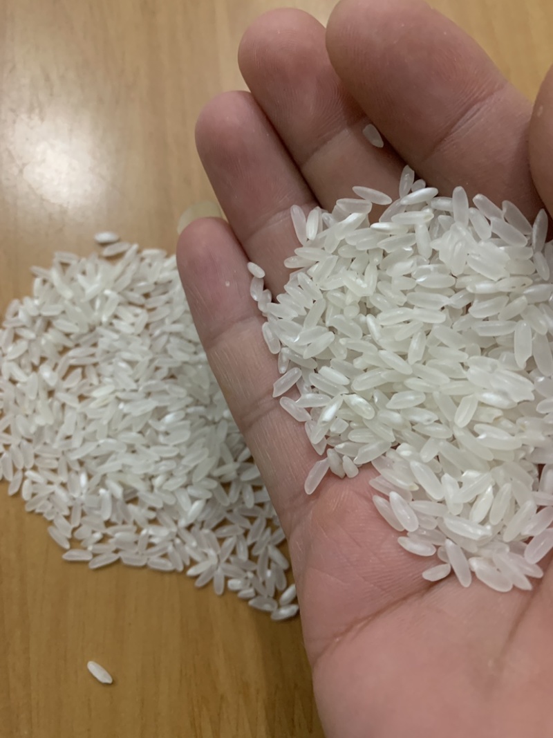 米厂大量采购21年粳稻圆粒长粒香稻花香可免费代加工贴牌