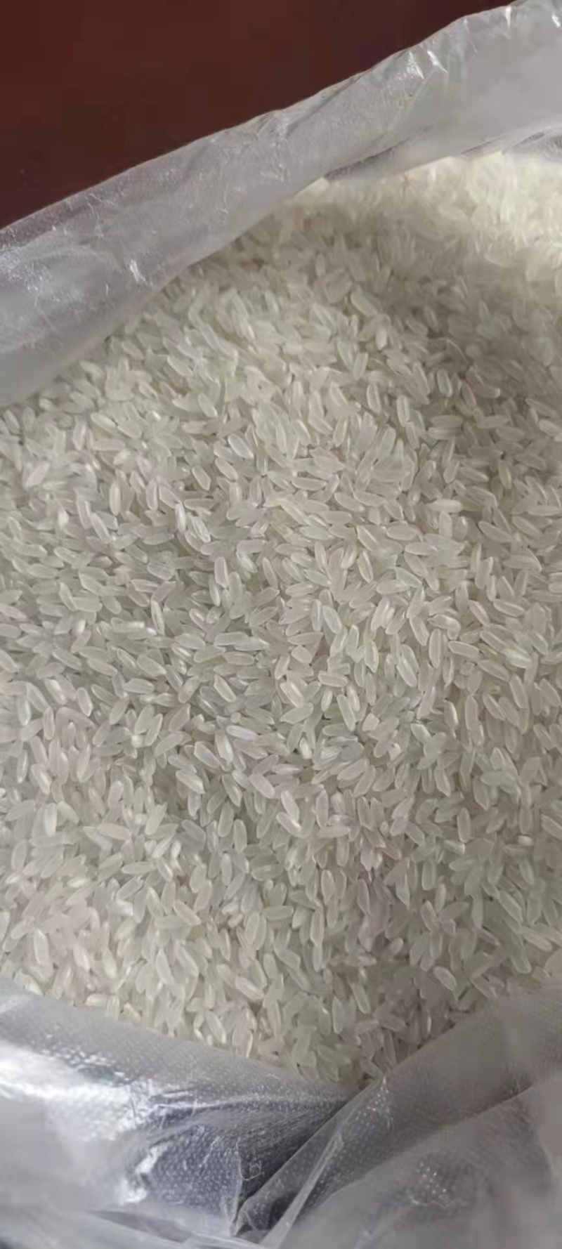 米厂大量采购21年粳稻圆粒长粒香稻花香可免费代加工贴牌