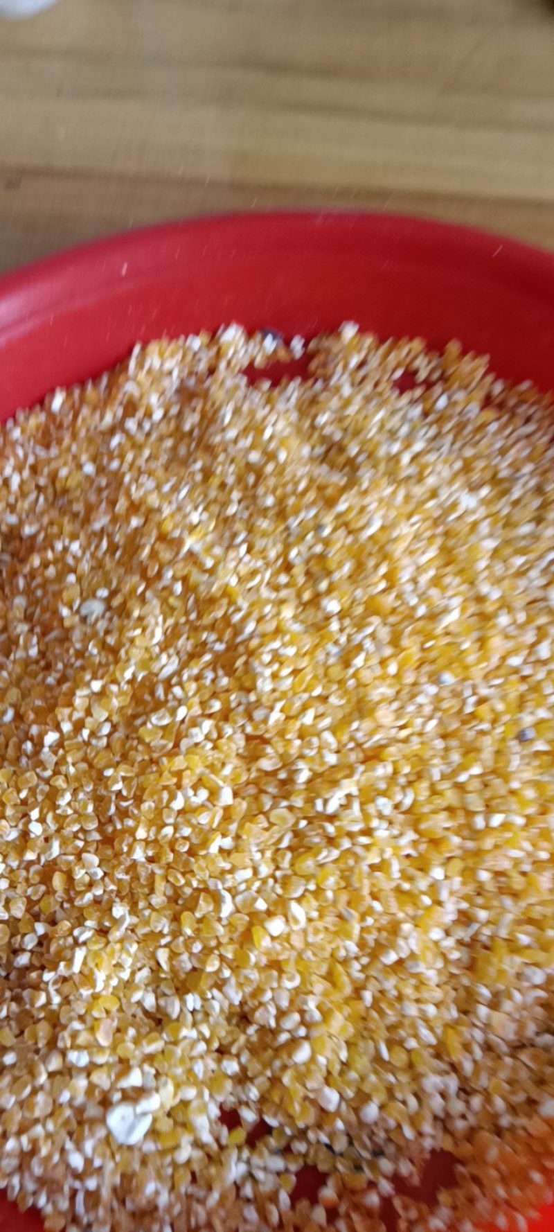 农家自种的玉米破碎，新鲜，泡煮5斤一件包邮。