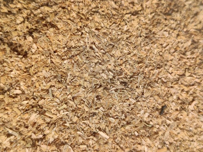 批发稻壳稻壳粉规格目数齐全用于养殖饲料土壤改良等