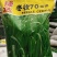 冬牧70黑麦草，冬季牧草种子，北方抗寒品种
