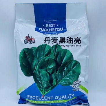 丹麦黑油亮菠菜种子杂交一袋耐热四季可播种子