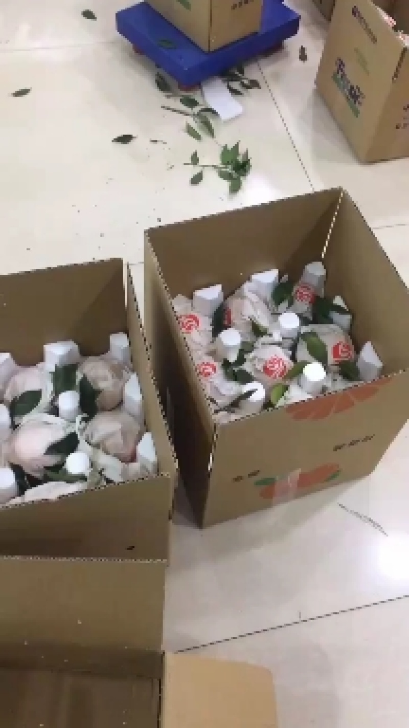 【基地直发】爱媛冰冻橙又大又甜，好吃不贵，非常可口