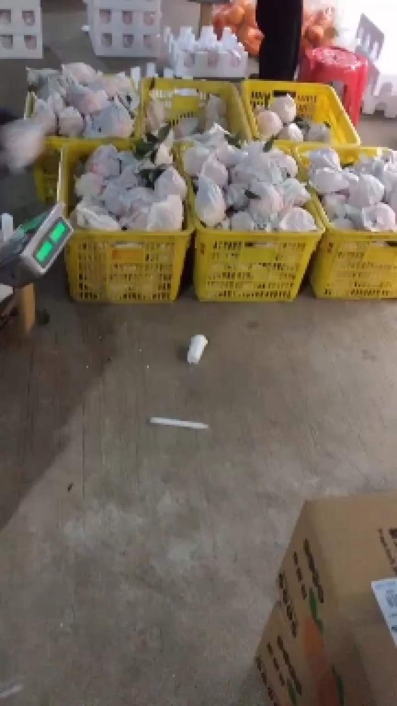 【基地直发】爱媛冰冻橙又大又甜，好吃不贵，非常可口