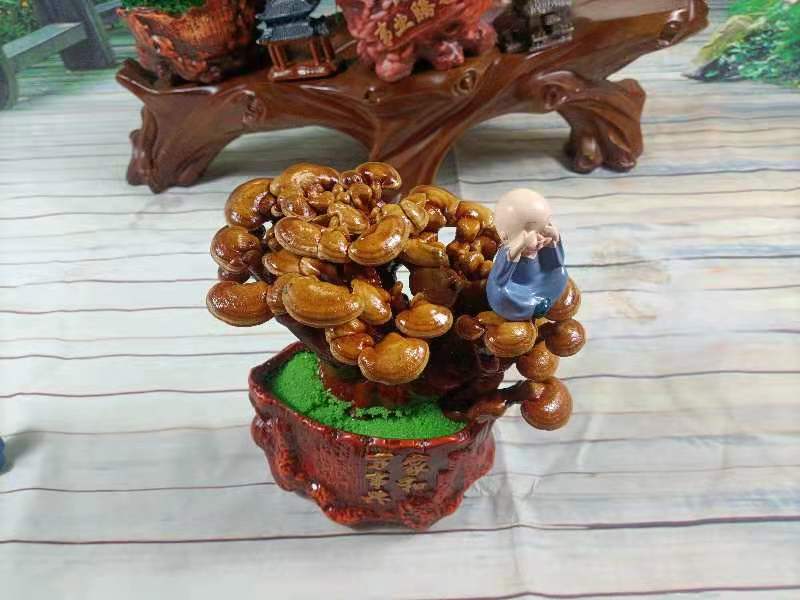 灵芝盆景，家庭摆件，办公室桌面摆件，易打理精致，