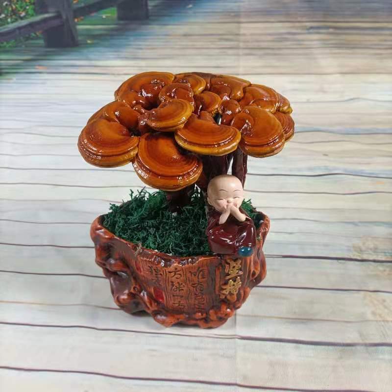 灵芝盆景，家庭摆件，办公室桌面摆件，易打理精致，
