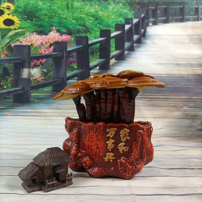 灵芝盆景，家庭摆件，办公室桌面摆件，易打理精致，