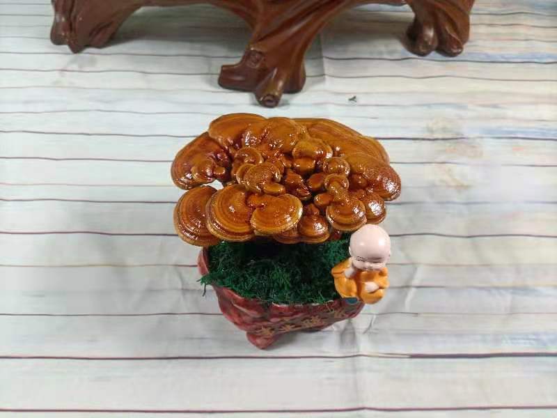 灵芝盆景，家庭摆件，办公室桌面摆件，易打理精致，