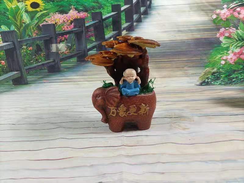 灵芝盆景，家庭摆件，办公室桌面摆件，易打理精致，