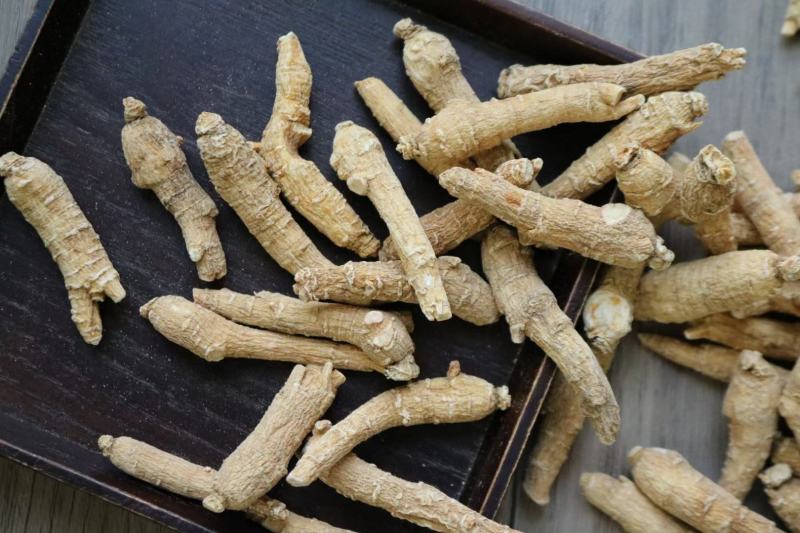 3g山东西洋参超短条条形很均匀颜色黄一点剪尾足干硬枝肉质