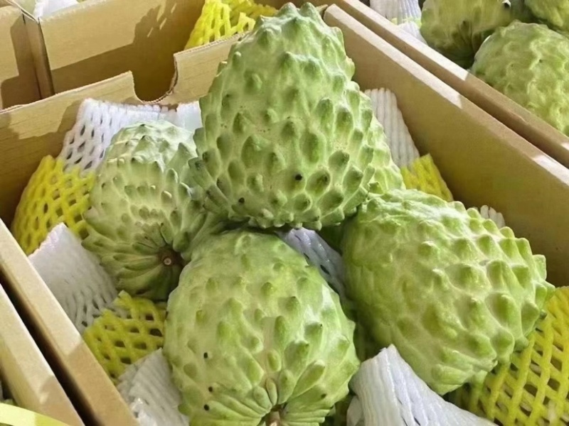 凤梨释迦果，佛头果，3-5斤包邮