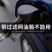 手动抽器吸油器加尿素汽车货车汽油抽子抽油管抽水油泵神器抽
