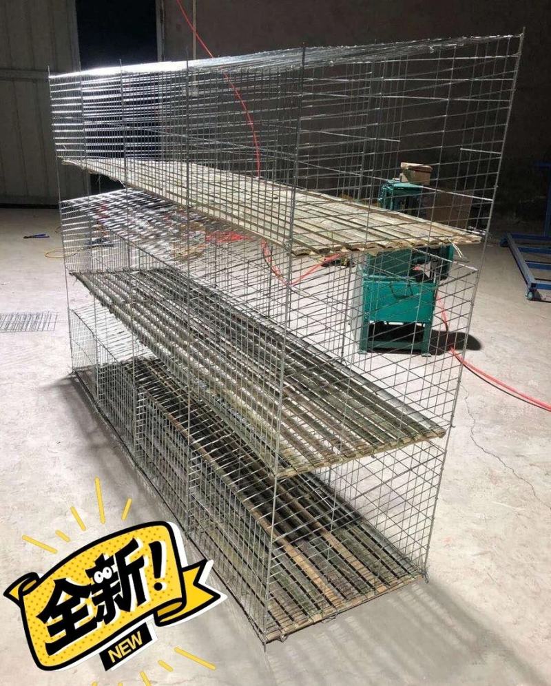 鹧鸪养殖笼滚蛋笼芦丁鸡笼笼具厂鸡鸽兔笼小鸡育雏笼