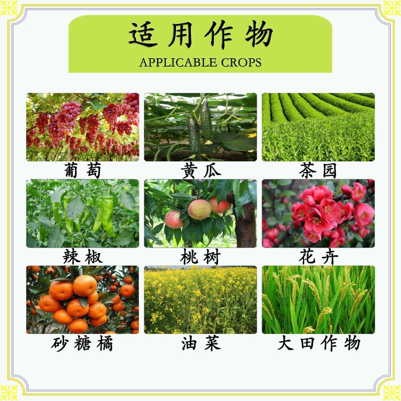 国光2%苄胺基嘌呤柑橘树调节生长植物生长调节剂
