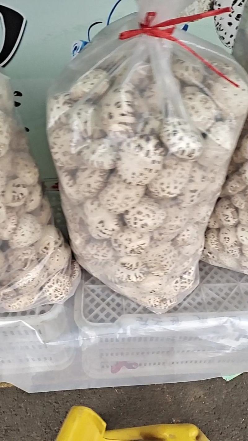 花菇泌阳花菇甲天下，规格齐全、肉厚味香、购买找胡琴