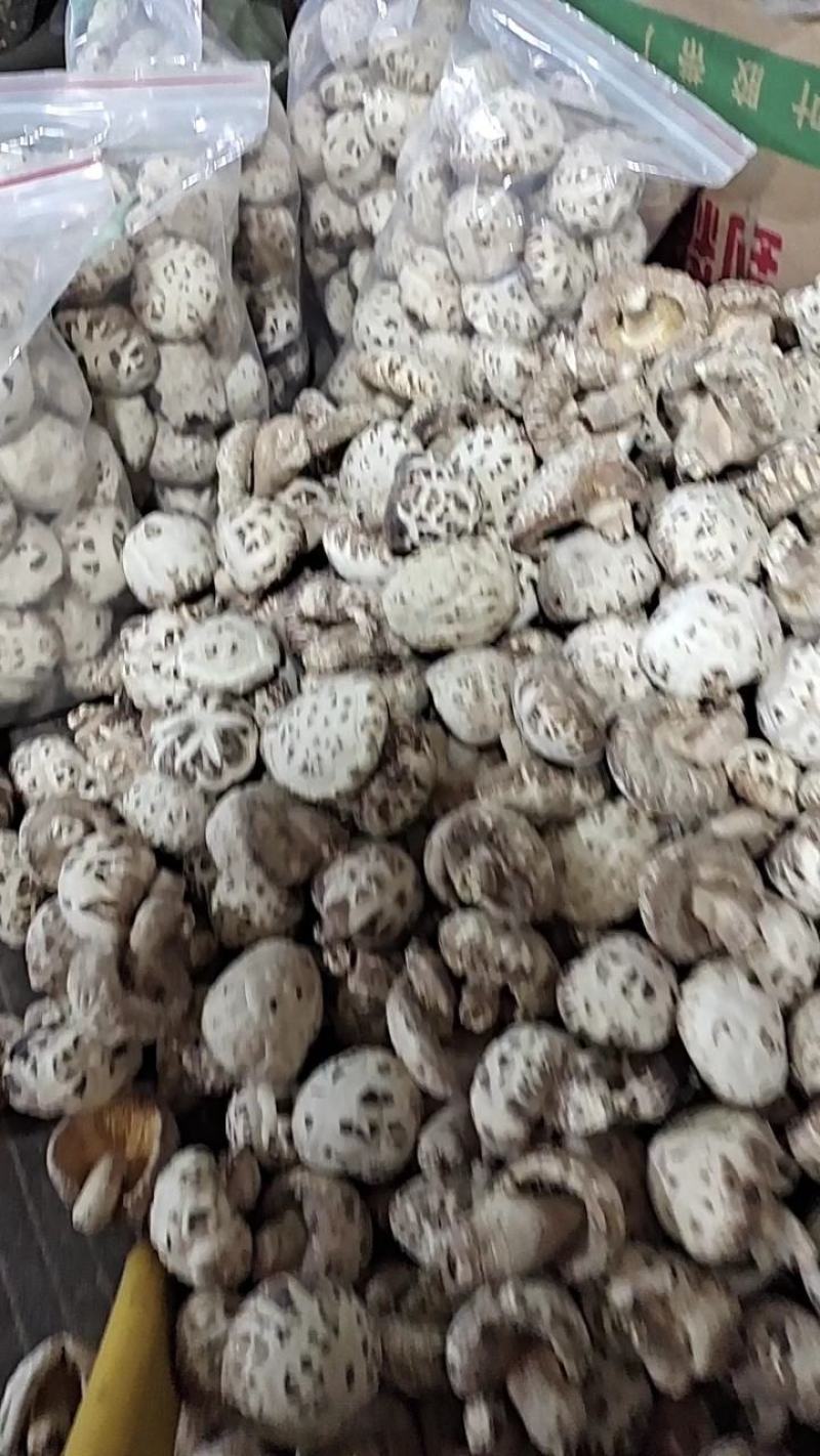 花菇泌阳花菇甲天下，规格齐全、肉厚味香、购买找胡琴