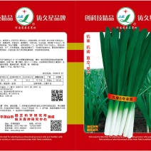 久星6号韭菜种子，不休眠，耐储运，优质耐寒