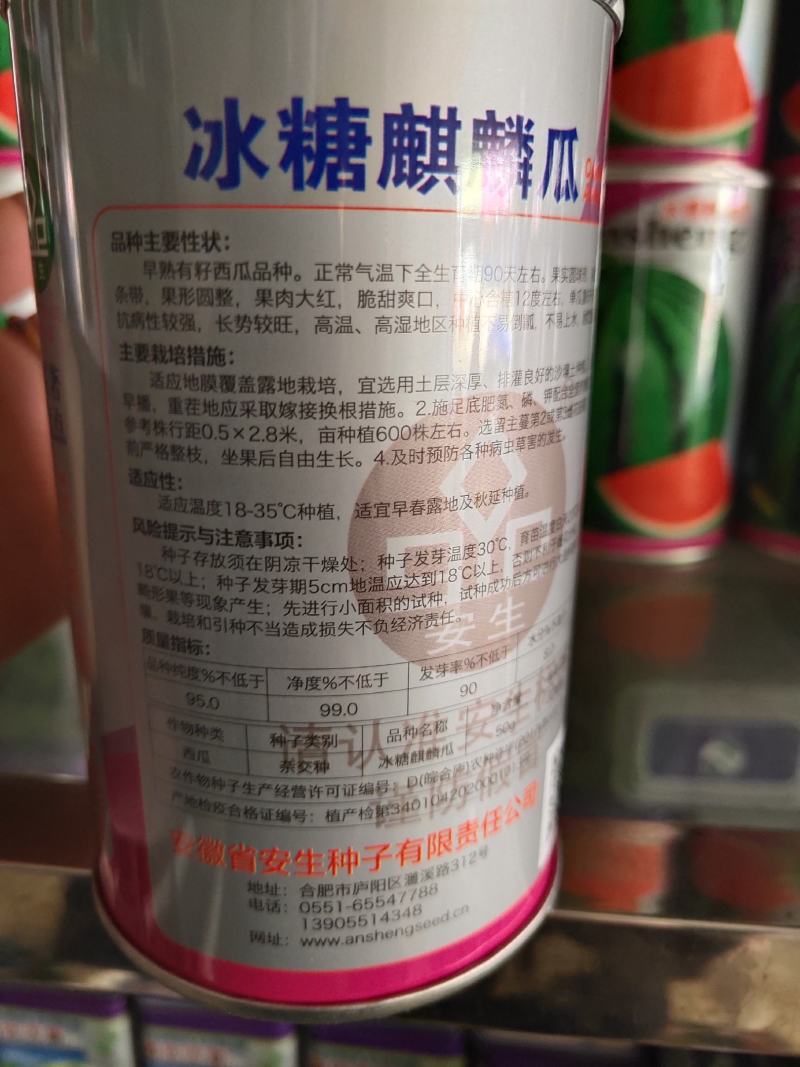 安生冰糖麒麟西瓜种子，甜度12%单瓜6千克