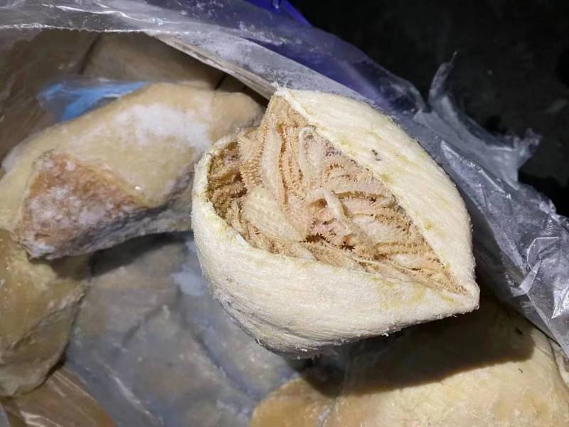 纯干牛百叶，价格合适，出成率高，一手货源
