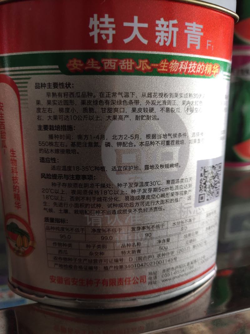 安生特大新青西瓜种子，可达10公斤左右，