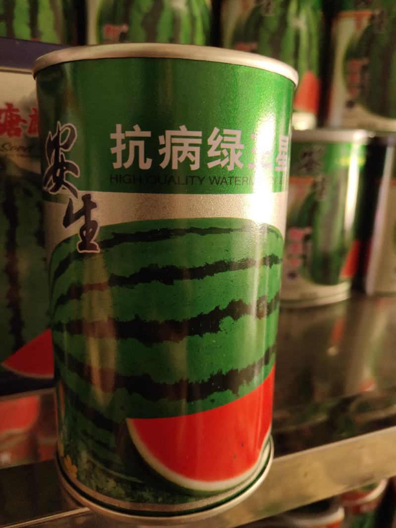 安生抗病绿王星西瓜种子，单瓜8公斤左右，