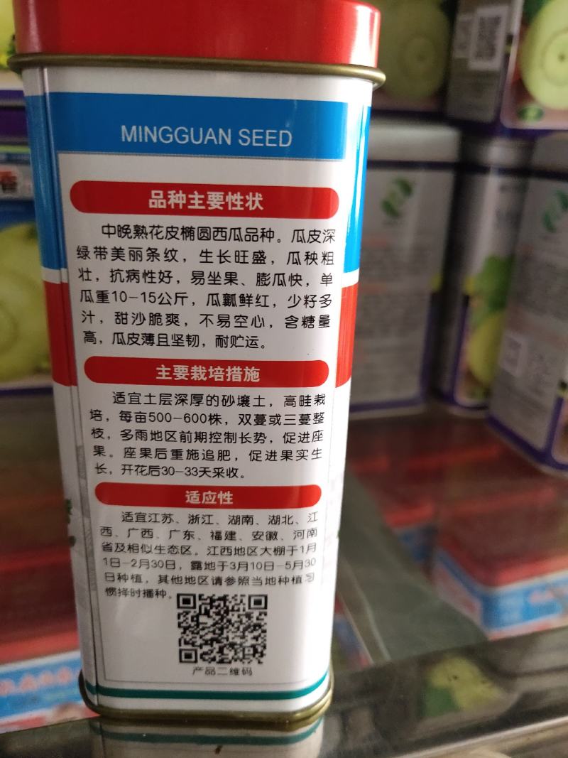 抗病西农八号西瓜种子，瓜皮深绿带美丽条纹，