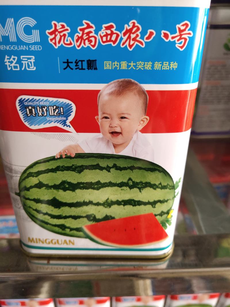 抗病西农八号西瓜种子，瓜皮深绿带美丽条纹，