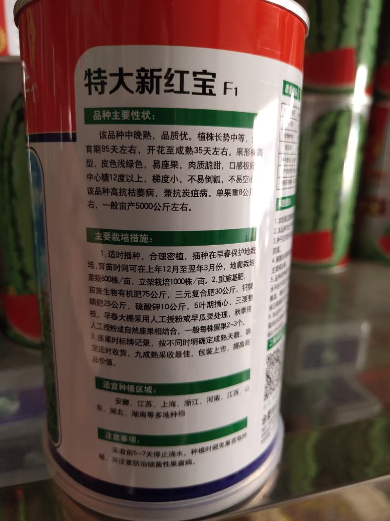 特大新红宝西瓜种子，皮色浅绿色，单瓜8公斤左右