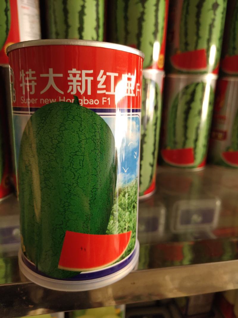 特大新红宝西瓜种子，皮色浅绿色，单瓜8公斤左右