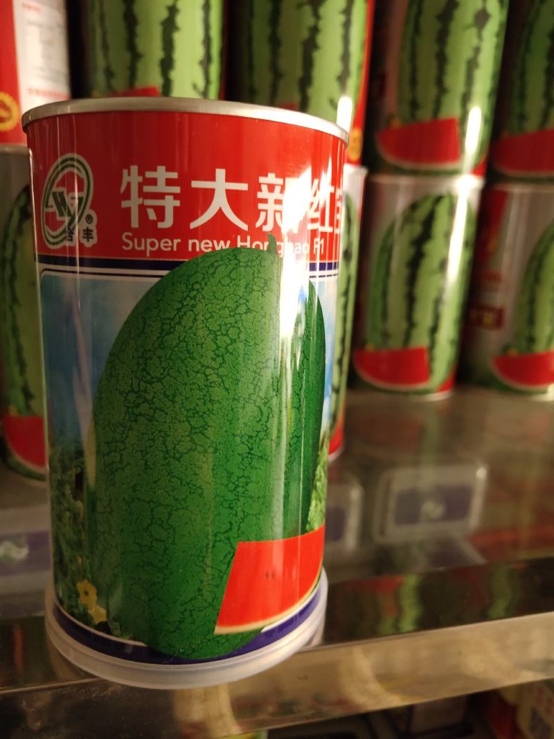 特大新红宝西瓜种子，皮色浅绿色，单瓜8公斤左右