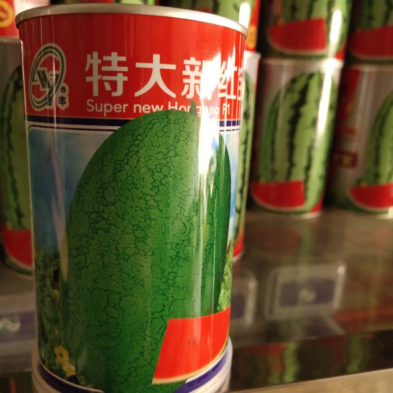 特大新红宝西瓜种子，皮色浅绿色，单瓜8公斤左右