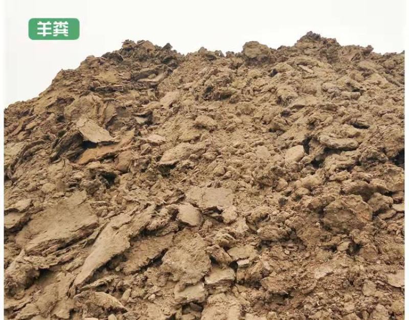 发酵羊粪发酵腐熟改良土壤结构促进作物根系生长