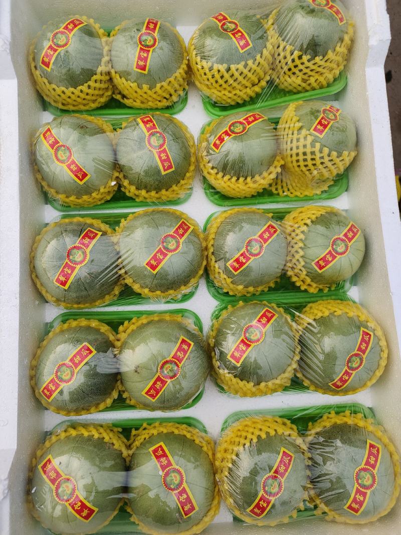 大量供应多种甜瓜甜瓜