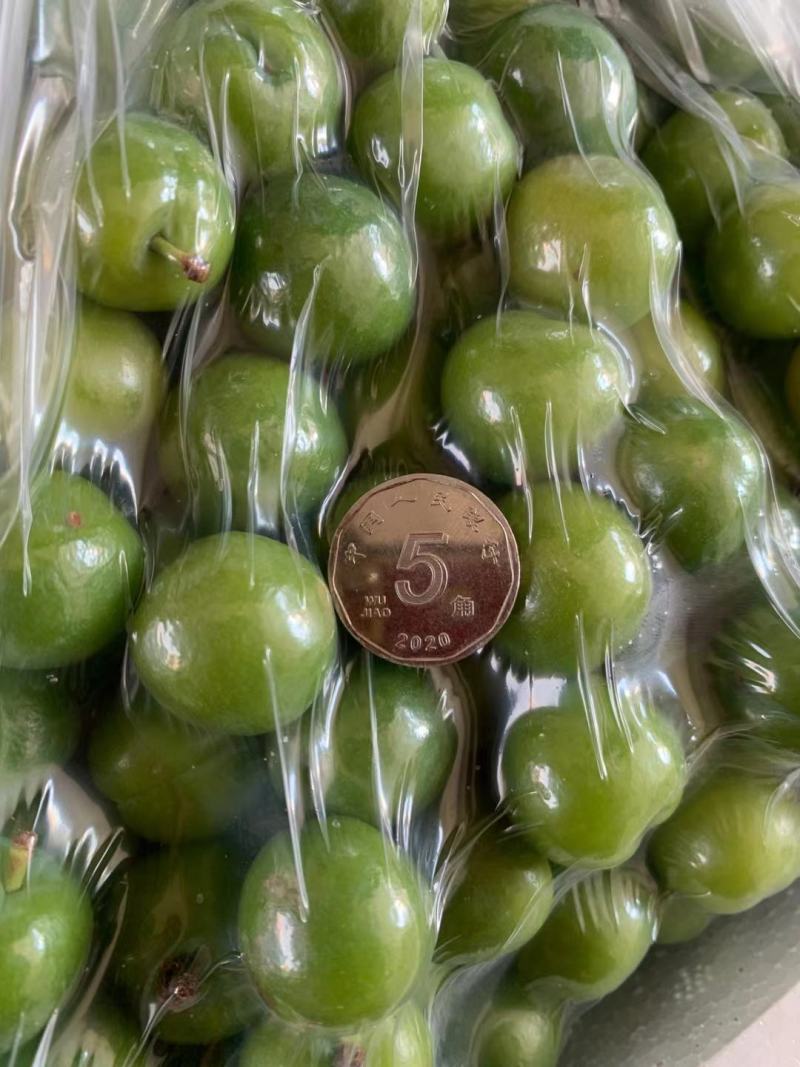 三月李，大量承接电商业务