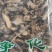 墓头回常年经营冷背药材欢迎选购！